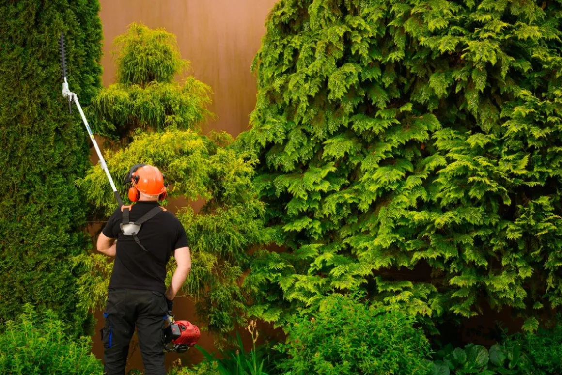 CEDRUS UW552 / UW520 KOSA SPALINOWA DO TRAWY PIŁA ŁAŃCUCHOWA SEKATOR URZĄDZENIE WIELOFUNKCYJNE PODKASZARKA WYKASZARKA 1.8 KM