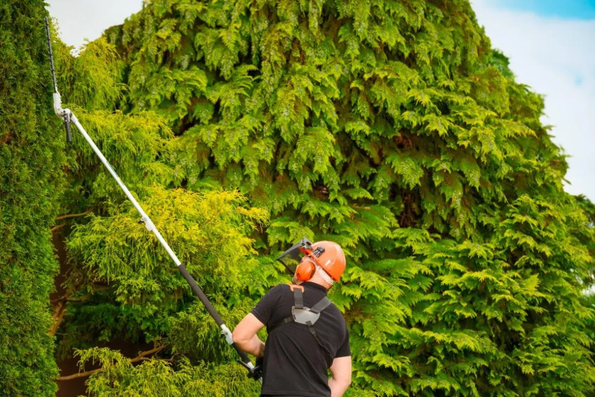 CEDRUS UW552 / UW520 KOSA SPALINOWA DO TRAWY PIŁA ŁAŃCUCHOWA SEKATOR URZĄDZENIE WIELOFUNKCYJNE PODKASZARKA WYKASZARKA 1.8 KM