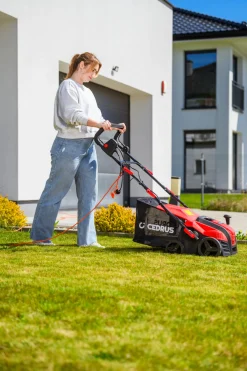 CEDRUS WE40 WERTYKULATOR DO TRAWY AREATOR 2w1 AERATOR + 2 WAŁKI 2000W / 40cm CEDWE40 - EWIMAX - OFICJALNY DYSTRYBUTOR - AUTORYZOWANY DEALER CEDRUS