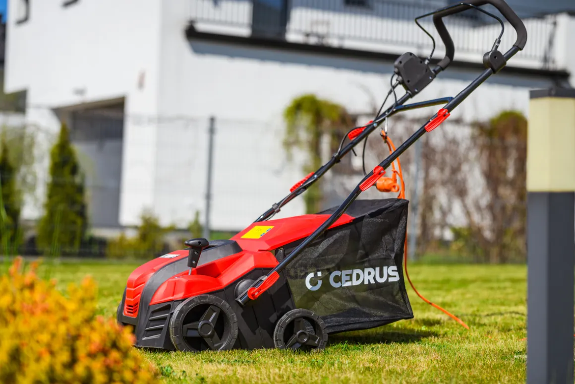 CEDRUS WE40 WERTYKULATOR DO TRAWY AREATOR 2w1 AERATOR + 2 WAŁKI 2000W / 40cm CEDWE40 - EWIMAX - OFICJALNY DYSTRYBUTOR - AUTORYZOWANY DEALER CEDRUS