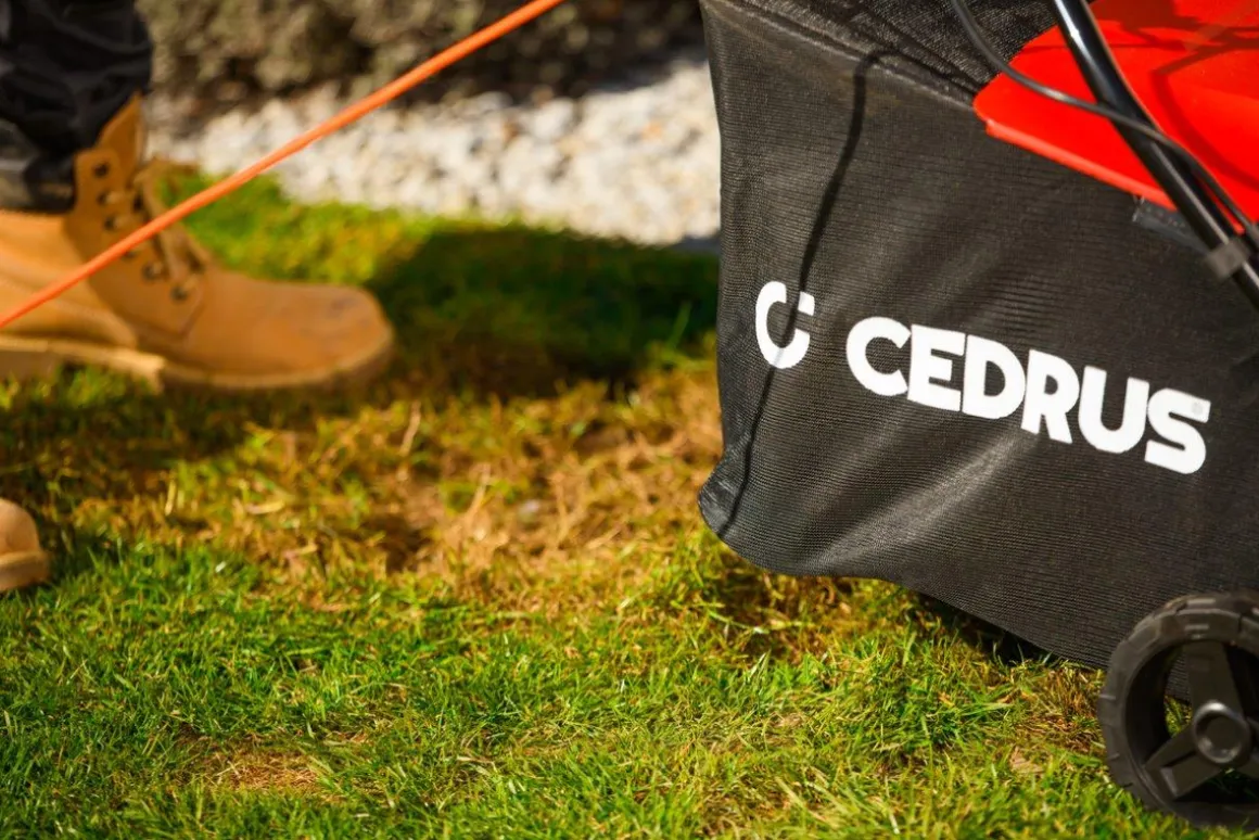 CEDRUS WE40 WERTYKULATOR DO TRAWY AREATOR 2w1 AERATOR + 2 WAŁKI 2000W / 40cm CEDWE40 - EWIMAX - OFICJALNY DYSTRYBUTOR - AUTORYZOWANY DEALER CEDRUS