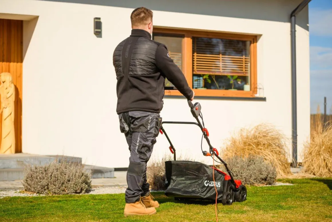 CEDRUS WE40 WERTYKULATOR DO TRAWY AREATOR 2w1 AERATOR + 2 WAŁKI 2000W / 40cm CEDWE40 - EWIMAX - OFICJALNY DYSTRYBUTOR - AUTORYZOWANY DEALER CEDRUS