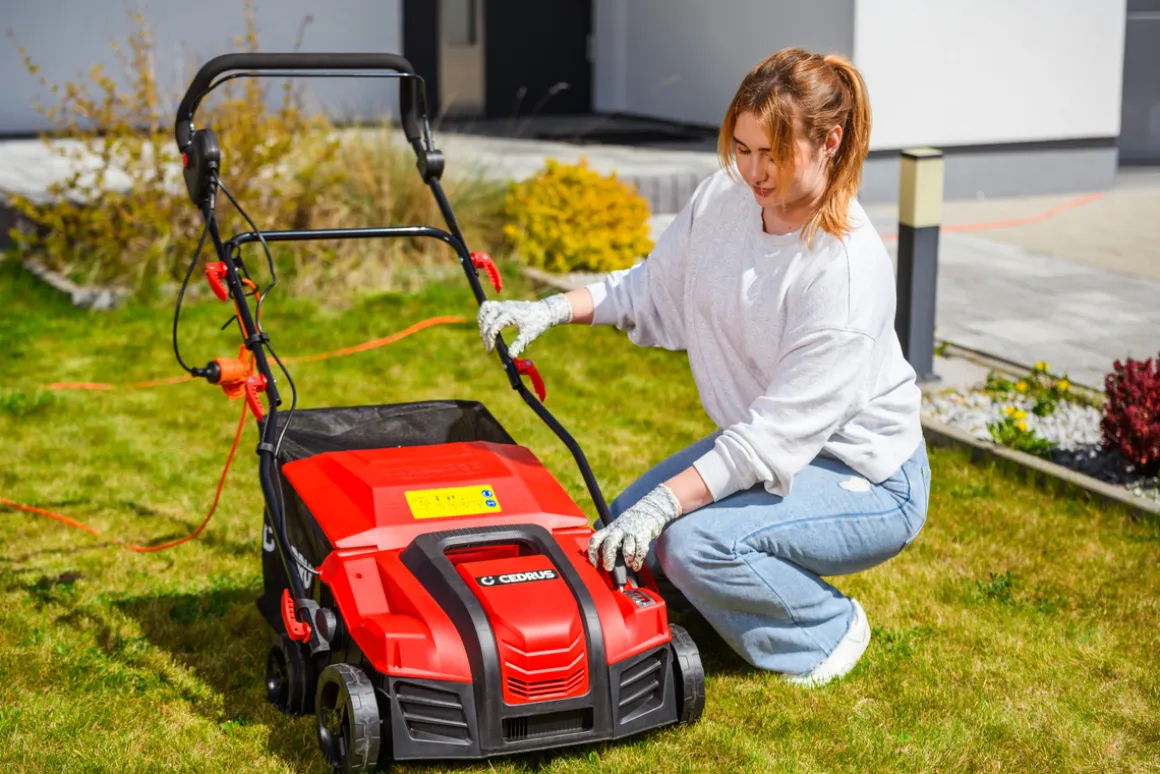 CEDRUS WE40 WERTYKULATOR DO TRAWY AREATOR 2w1 AERATOR + 2 WAŁKI 2000W / 40cm CEDWE40 - EWIMAX - OFICJALNY DYSTRYBUTOR - AUTORYZOWANY DEALER CEDRUS