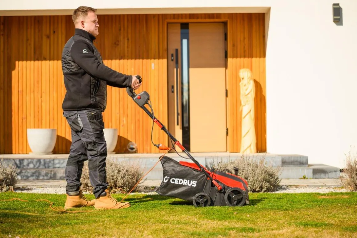 CEDRUS WE38 WERTYKULATOR DO TRAWY AREATOR 2w1 AERATOR + 2 WAŁKI 1800W / 38cm CEDWE38 - EWIMAX - OFICJALNY DYSTRYBUTOR - AUTORYZOWANY DEALER CEDRUS