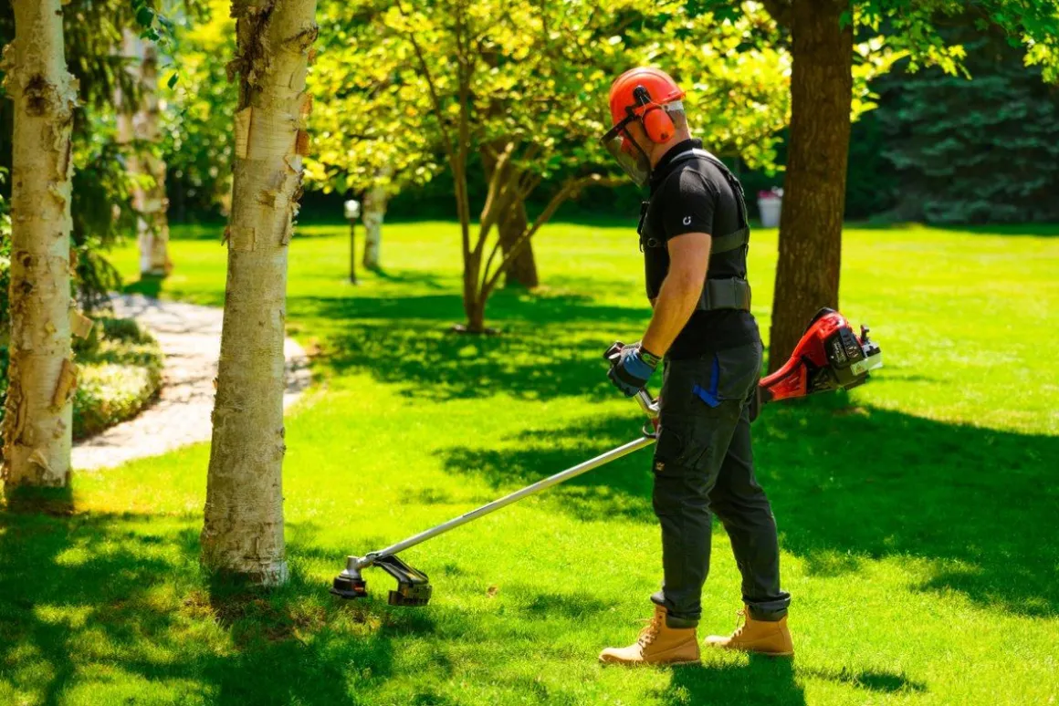 CEDRUS WK430X KOSA SPALINOWA DO TRAWY PODKASZARKA WYKASZARKA 1.8 KM EWIMAX - OFICJALNY DYSTRYBUTOR - AUTORYZOWANY DEALER CEDRUS