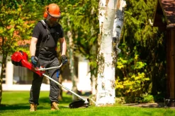 CEDRUS WK430X KOSA SPALINOWA DO TRAWY PODKASZARKA WYKASZARKA 1.8 KM EWIMAX - OFICJALNY DYSTRYBUTOR - AUTORYZOWANY DEALER CEDRUS