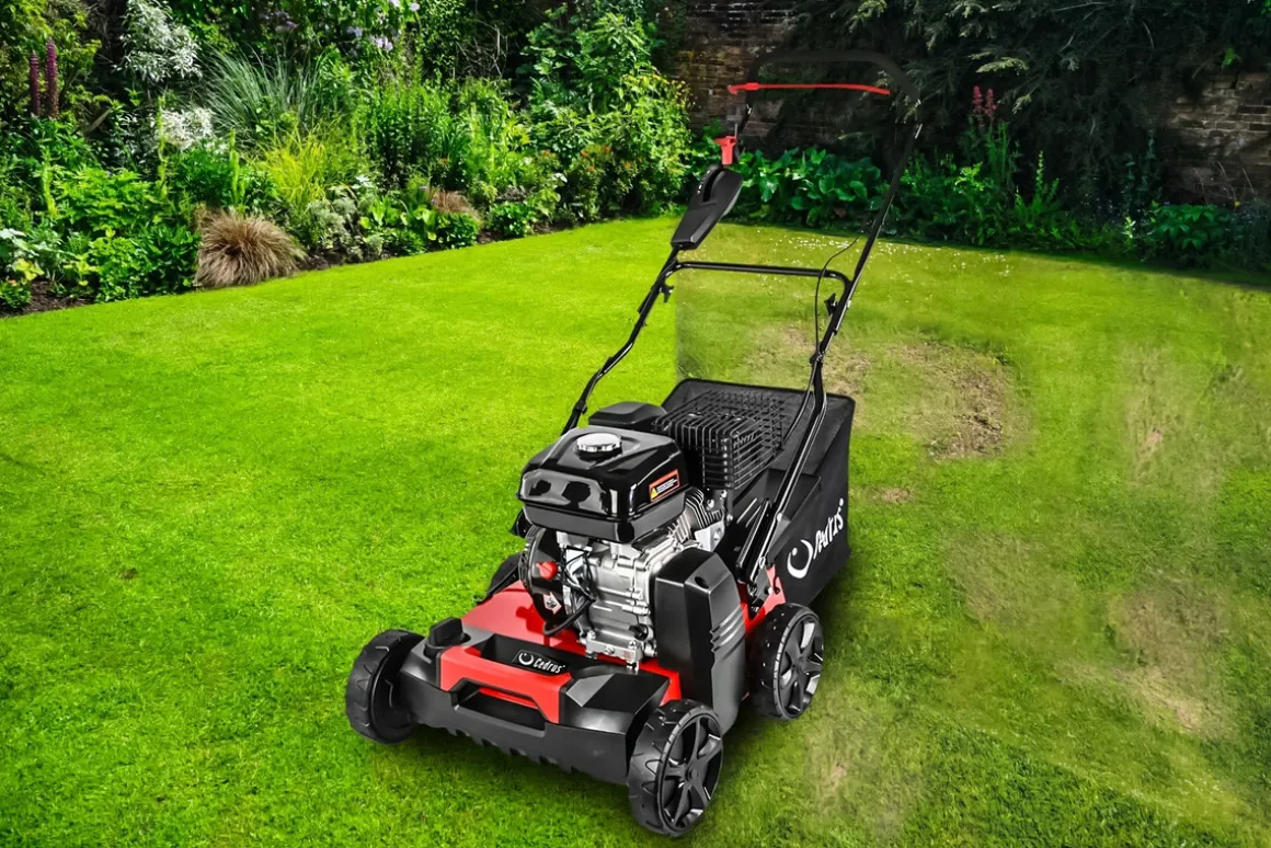 CEDRUS WR01-B WERTYKULATOR SPALINOWY DO TRAWY AREATOR 2w1 6 KM B&S Briggs & Stratton CR950 - EWIMAX - OFICJALNY DYSTRYBUTOR - AUTORYZOWANY DEALER CEDRUS