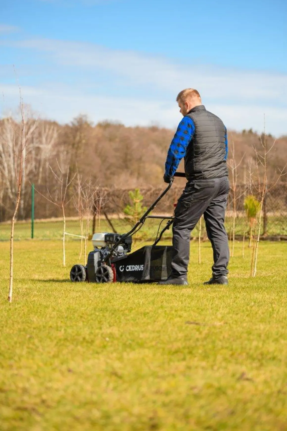 CEDRUS WR01-H WERTYKULATOR SPALINOWY DO TRAWY AREATOR 2w1 6 KM HONDA GP200 - EWIMAX - OFICJALNY DYSTRYBUTOR - AUTORYZOWANY DEALER CEDRUS