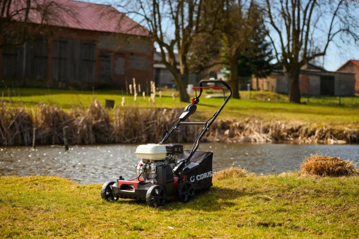 CEDRUS WR01-H WERTYKULATOR SPALINOWY DO TRAWY AREATOR 2w1 6 KM HONDA GP200 - EWIMAX - OFICJALNY DYSTRYBUTOR - AUTORYZOWANY DEALER CEDRUS