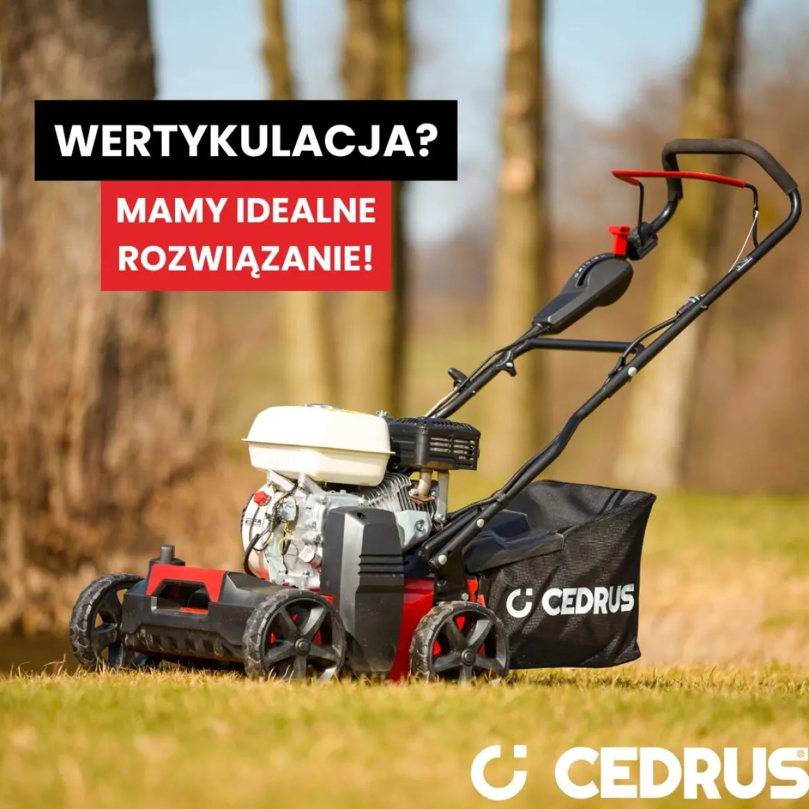 CEDRUS WR01-H WERTYKULATOR SPALINOWY DO TRAWY AREATOR 2w1 6 KM HONDA GP200 - EWIMAX - OFICJALNY DYSTRYBUTOR - AUTORYZOWANY DEALER CEDRUS