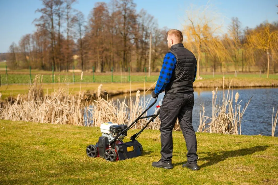 CEDRUS WR01-H WERTYKULATOR SPALINOWY DO TRAWY AREATOR 2w1 6 KM HONDA GP200 - EWIMAX - OFICJALNY DYSTRYBUTOR - AUTORYZOWANY DEALER CEDRUS