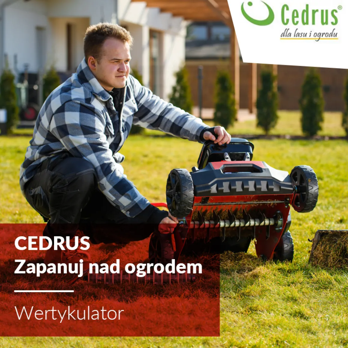CEDRUS WR01-H WERTYKULATOR SPALINOWY DO TRAWY AREATOR 2w1 6 KM HONDA GP200 - EWIMAX - OFICJALNY DYSTRYBUTOR - AUTORYZOWANY DEALER CEDRUS