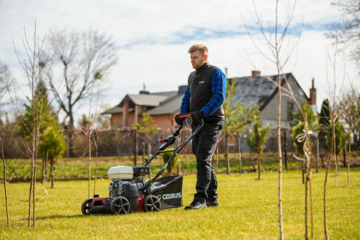 CEDRUS WR01-H WERTYKULATOR SPALINOWY DO TRAWY AREATOR 2w1 6 KM HONDA GP200 - EWIMAX - OFICJALNY DYSTRYBUTOR - AUTORYZOWANY DEALER CEDRUS