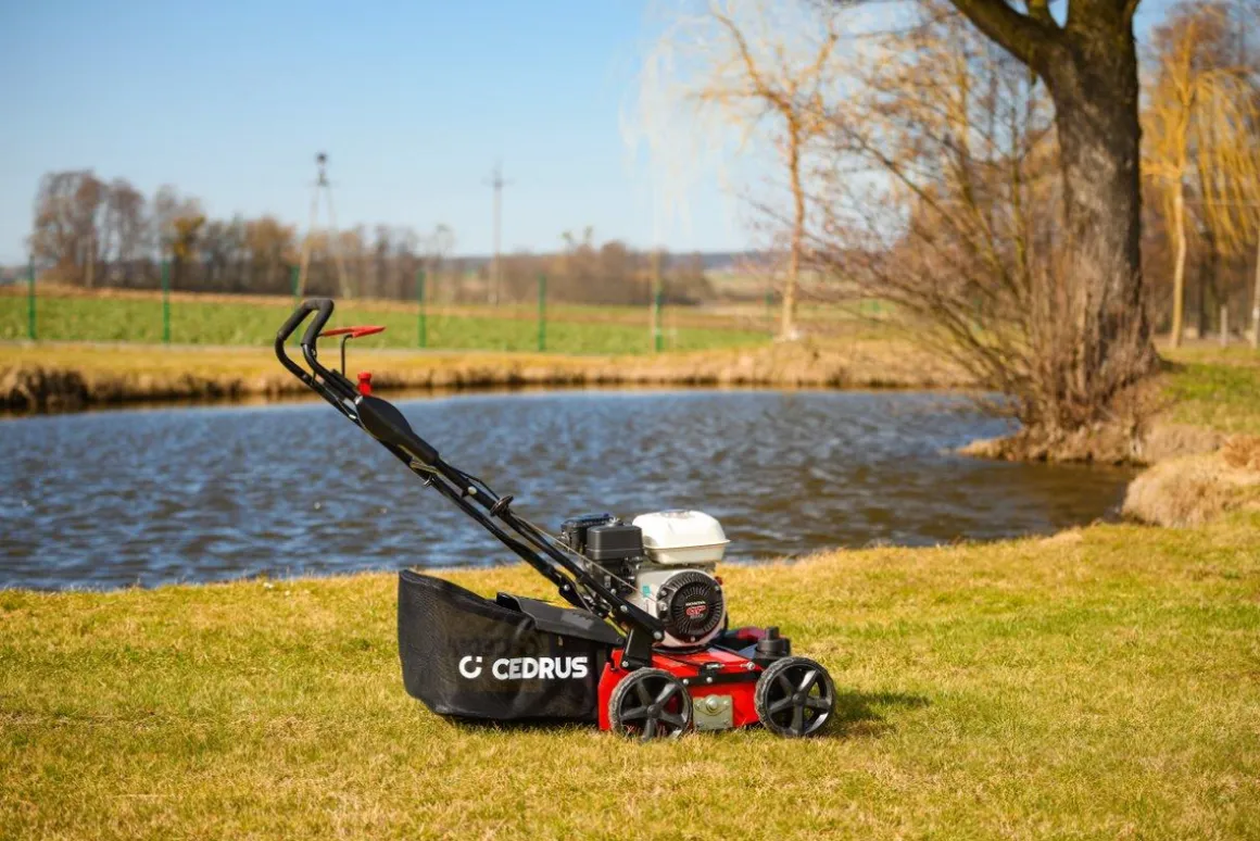 CEDRUS WR01-H WERTYKULATOR SPALINOWY DO TRAWY AREATOR 2w1 6 KM HONDA GP200 - EWIMAX - OFICJALNY DYSTRYBUTOR - AUTORYZOWANY DEALER CEDRUS