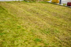 CEDRUS WR02 R WERTYKULATOR SPALINOWY DO TRAWY AREATOR  6 KM NOŻE WAHLIWE - EWIMAX - OFICJALNY DYSTRYBUTOR - AUTORYZOWANY DEALER CEDRUS