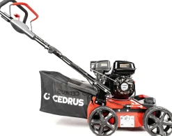 CEDRUS WR01 WERTYKULATOR SPALINOWY DO TRAWY AREATOR 2w1 5.5 KM - EWIMAX - OFICJALNY DYSTRYBUTOR - AUTORYZOWANY DEALER CEDRUS