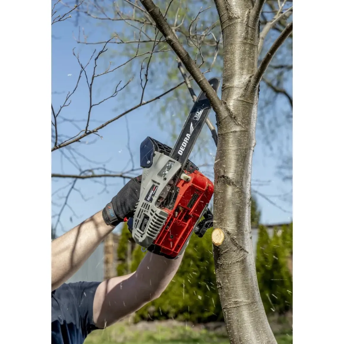 DEDRA DED8719 Pilarka spalinowa łańcuchowa 1kW 25cm piła gałęziówka ogrodowa