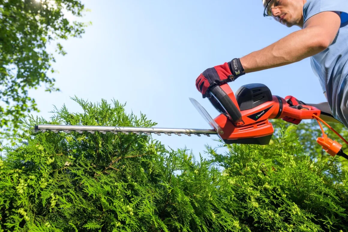 FAWORYT NEC750R SEKATOR NOŻYCE DO ŻYWOPŁOTU KRZAKÓW KRZEWÓW ELEKTRYCZNE 750W / 55cm