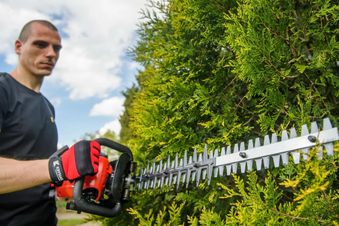 FAWORYT SPN261 SEKATOR NOŻYCE SPALINOWE DO ŻYWOPŁOTU KRZAKÓW KRZEWÓW