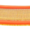 Filtr powietrza Cifarelli BL1200 CZĘŚĆ ORYGINALNA 0613700
