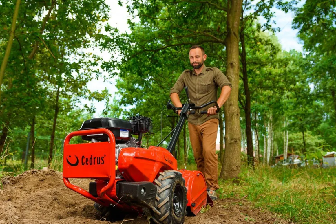 Glebogryzarka przeciwbieżna Cedrus GL03 PRO B&S 6,5KM Briggs