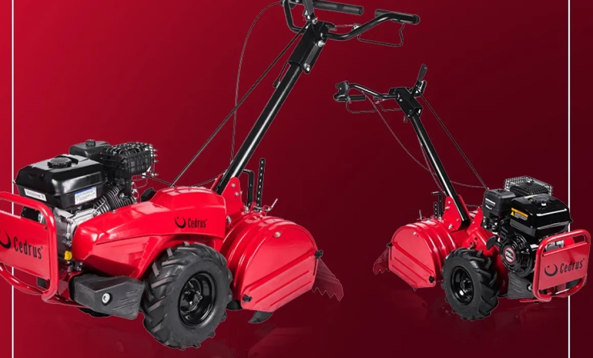 Glebogryzarka przeciwbieżna Cedrus GL03 PRO B&S 6,5KM Briggs