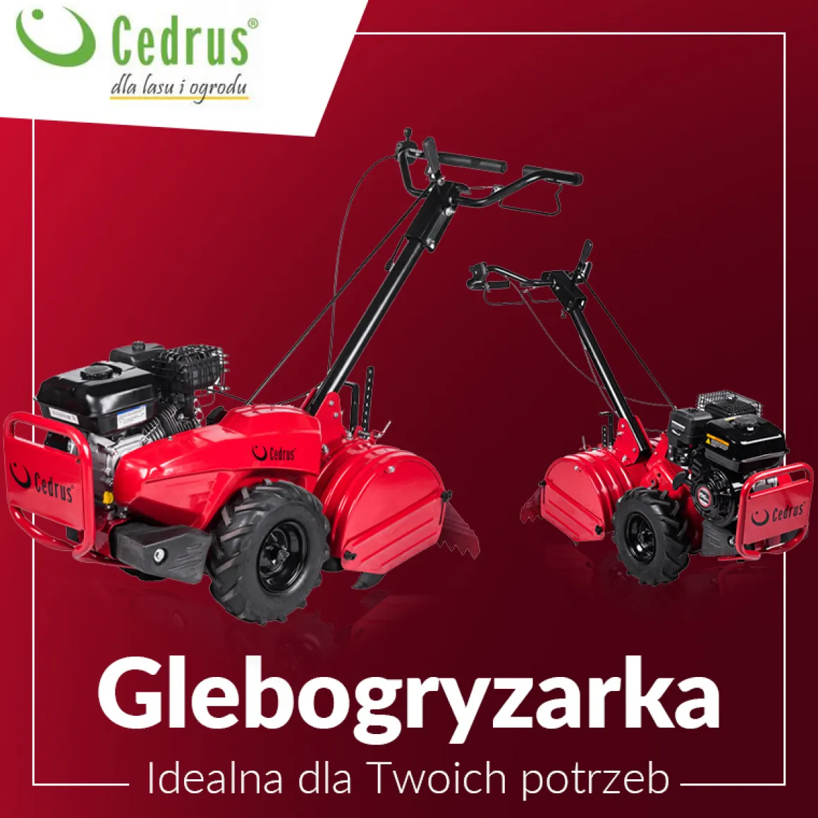 Glebogryzarka przeciwbieżna Cedrus GL03 PRO B&S 6,5KM Briggs