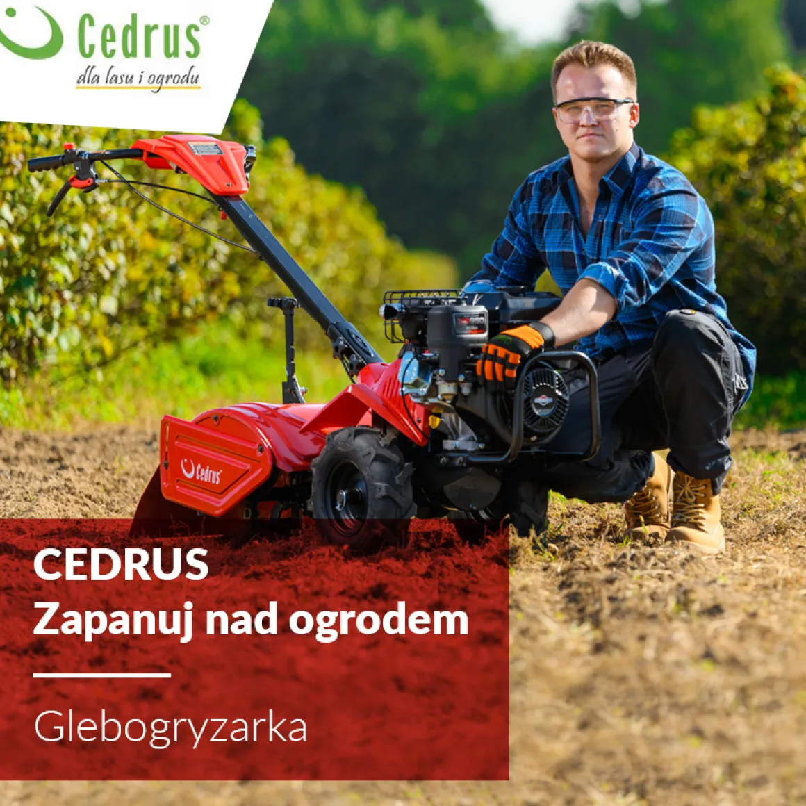 Glebogryzarka z napędem Cedrus GLX480 6,5KM silnik Loncin
