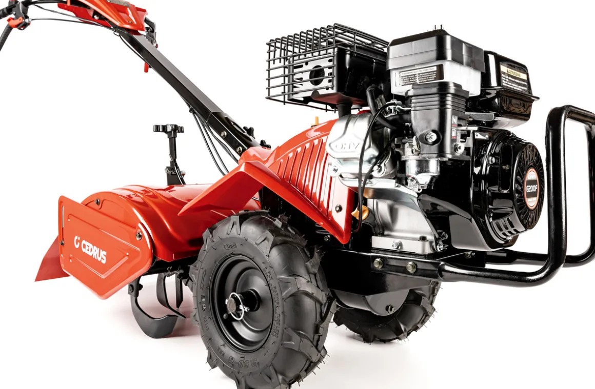 Glebogryzarka z napędem Cedrus GLX-GT65-2L 6,5KM silnik Loncin