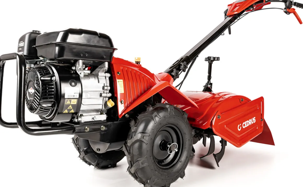 Glebogryzarka z napędem Cedrus GLX-GT65-2BS 6,5KM silnik Briggs