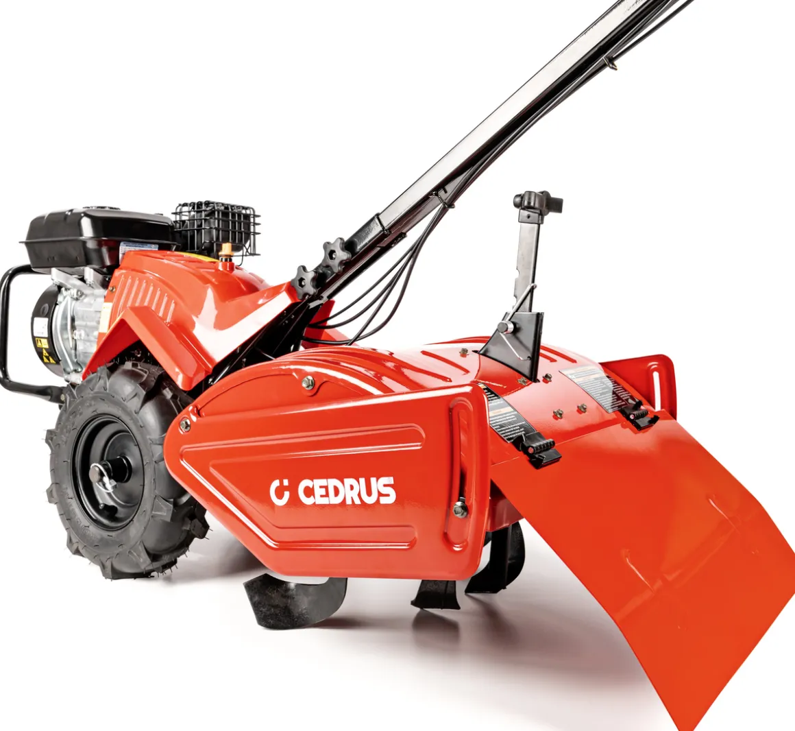 Glebogryzarka z napędem Cedrus GLX-GT65-2BS 6,5KM silnik Briggs
