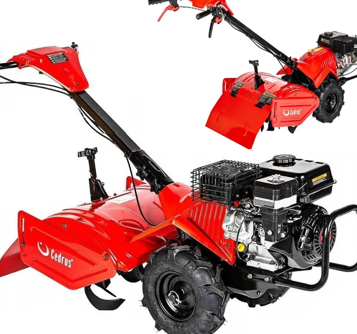 Glebogryzarka z napędem Cedrus GLX-GT65-2BS 6,5KM silnik Briggs