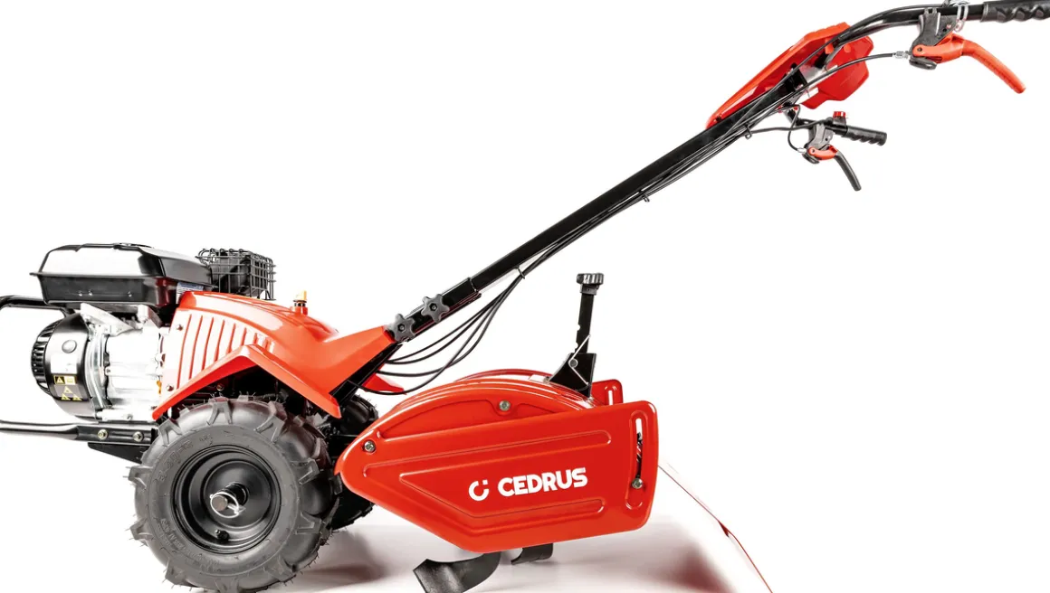 Glebogryzarka z napędem Cedrus GLX-GT65-2BS 6,5KM silnik Briggs
