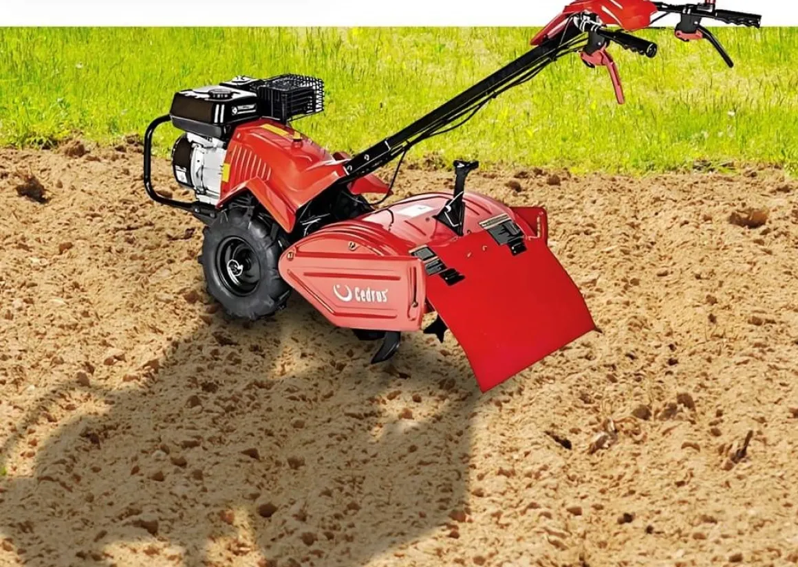 Glebogryzarka z napędem Cedrus GLX-GT65-2BS 6,5KM silnik Briggs