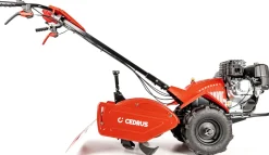 Glebogryzarka z napędem Cedrus GLX-GT65-2BS 6,5KM silnik Briggs