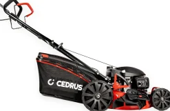 HONDA KOSIARKA SPALINOWA DO TRAWY CEDRUS KS51S-H Z NAPĘDEM 5w1 51cm / 5.6 KM HONDA GCV200 - EWIMAX - OFICJALNY DYSTRYBUTOR - AUTORYZOWANY DEALER CEDRUS