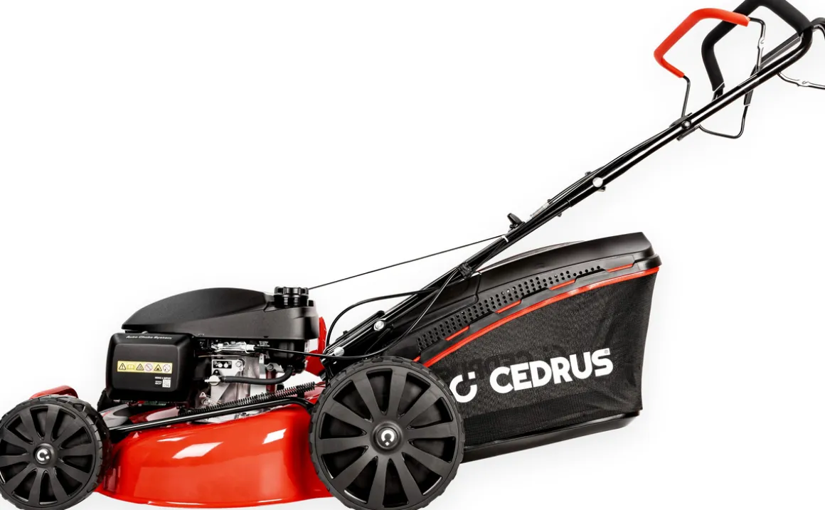 HONDA KOSIARKA SPALINOWA DO TRAWY CEDRUS KS51S-H Z NAPĘDEM 5w1 51cm / 5.6 KM HONDA GCV200 - EWIMAX - OFICJALNY DYSTRYBUTOR - AUTORYZOWANY DEALER CEDRUS
