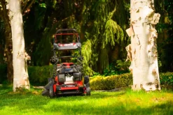 HONDA KOSIARKA SPALINOWA DO TRAWY CEDRUS KS53S-H AL ALUMIONIOWA Z NAPĘDEM HONDA GCV200 5w1 53cm / 4.1 KM - EWIMAX - OFICJALNY DYSTRYBUTOR - AUTORYZOWANY DEALER CEDRUS
