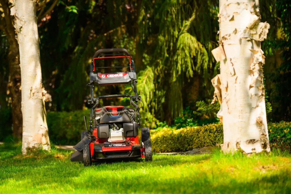 HONDA KOSIARKA SPALINOWA DO TRAWY CEDRUS KS53S-H AL ALUMIONIOWA Z NAPĘDEM HONDA GCV200 5w1 53cm / 4.1 KM - EWIMAX - OFICJALNY DYSTRYBUTOR - AUTORYZOWANY DEALER CEDRUS