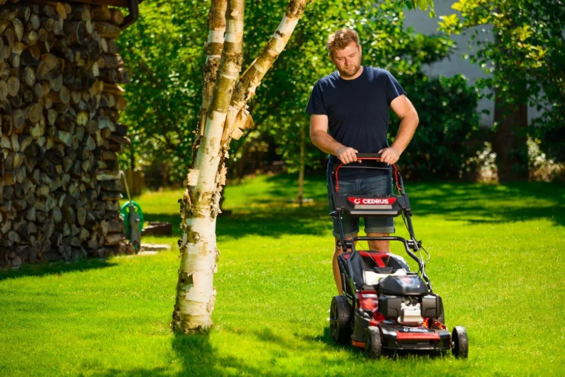 HONDA KOSIARKA SPALINOWA DO TRAWY CEDRUS KS53S-H AL ALUMIONIOWA Z NAPĘDEM HONDA GCV200 5w1 53cm / 4.1 KM - EWIMAX - OFICJALNY DYSTRYBUTOR - AUTORYZOWANY DEALER CEDRUS