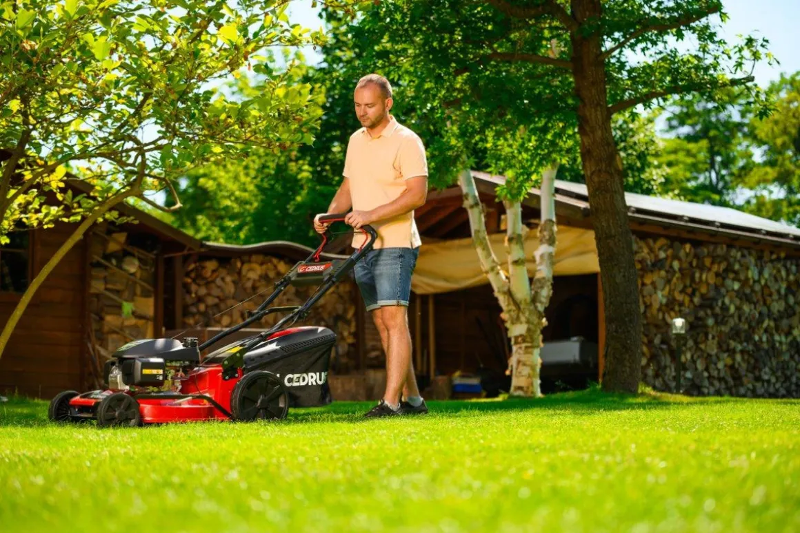 HONDA KOSIARKA SPALINOWA DO TRAWY CEDRUS KS53S-H AL ALUMIONIOWA Z NAPĘDEM HONDA GCV200 5w1 53cm / 4.1 KM - EWIMAX - OFICJALNY DYSTRYBUTOR - AUTORYZOWANY DEALER CEDRUS