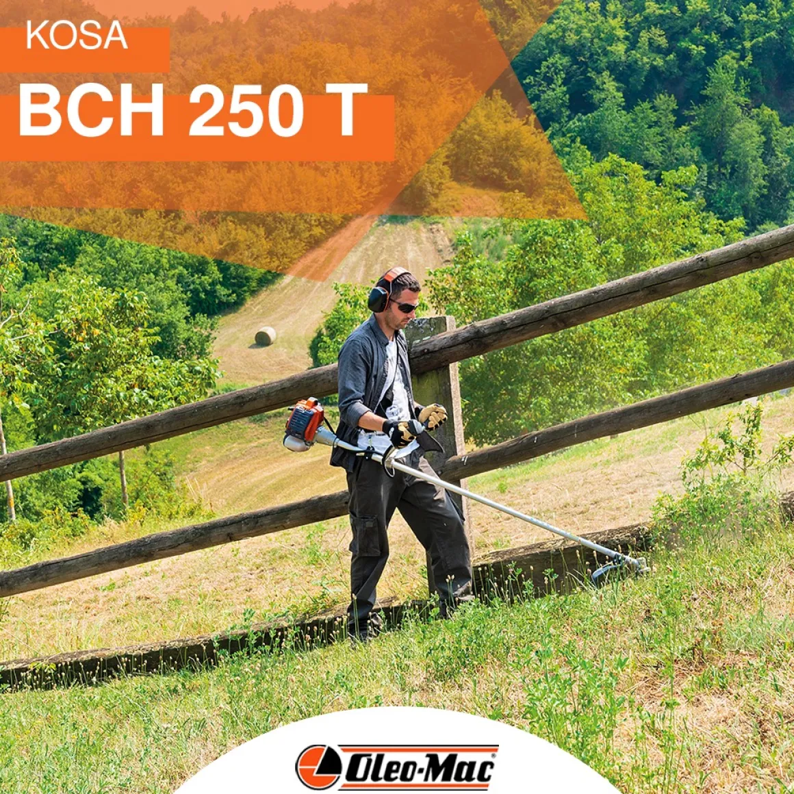KOSA OLEO MAC BCH 250 S KOSA SPALINOWA DO TRAWY WYKASZARKA PODKASZARKA PODCINARKA BCH250 1.4KM PREMIUM 61469052E2 EWIMAX-OFICJALNY DYSTRYBUTOR - AUTORYZOWANY DEALER OLEO-MAC