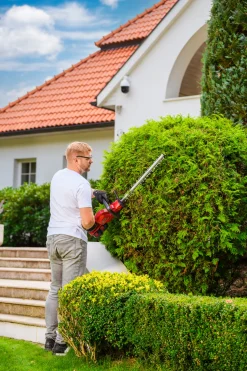 Nożyce akumulatorowe Cedrus CEDHT520LIX2 CEDHT520LIX2
