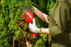 Nożyce akumulatorowe Cedrus CEDGS100LI CEDGS100LI