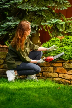 Nożyce akumulatorowe Cedrus CEDGS100LI CEDGS100LI
