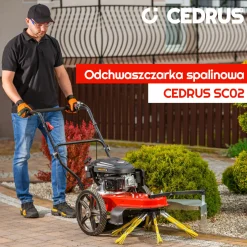 Odchwaszczarka spalinowa Cedrus SC02