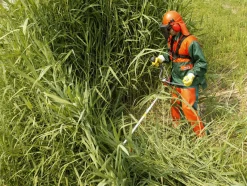 OLEO MAC BC 540 T PROFI KOSA SPALINOWA DO TRAWY PROFESJONALNA WYKASZARKA PODKASZARKA PODCINARKA MOC 3.7 KM KLASA PREMIUM 61539004E5 BC540 EWIMAX-OFICJALNY DYSTRYBUTOR - AUTORYZOWANY DEALER OLEO-MAC