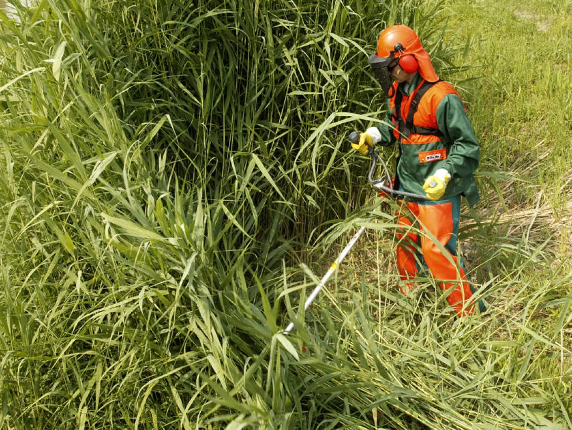 OLEO MAC BC 400 T PROFI KOSA SPALINOWA DO TRAWY PROFESJONALNA WYKASZARKA PODKASZARKA PODCINARKA MOC 2.5 KM KLASA PREMIUM 61429002E2 EWIMAX-OFICJALNY DYSTRYBUTOR - AUTORYZOWANY DEALER OLEO-MAC