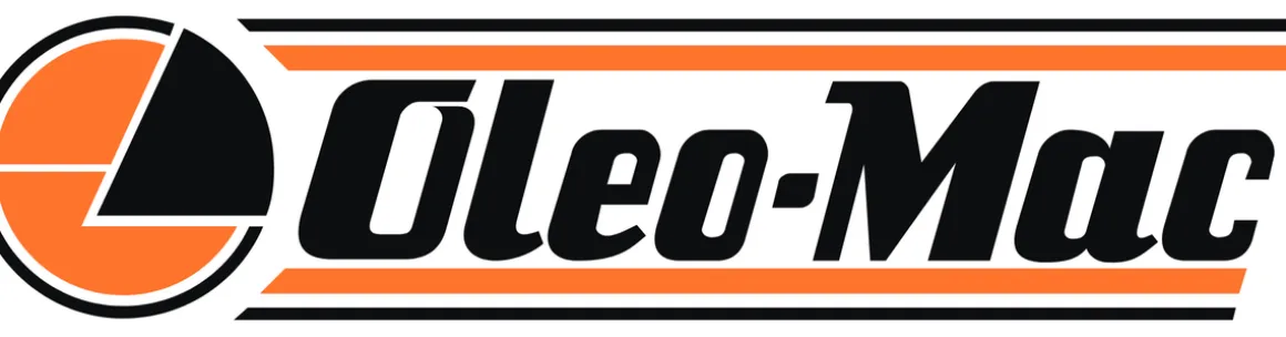 OLEO-MAC GS210 E PIŁA PILARKA PRZECINARKA ELEKTRYCZNA ŁANCUCHOWA DO DREWNA GAŁĘZI 41 cm / 2000 W KLASA PREMIUM 51049001 EWIMAX-OFICJALNY DYSTRYBUTOR - AUTORYZOWANY DEALER OLEO-MAC