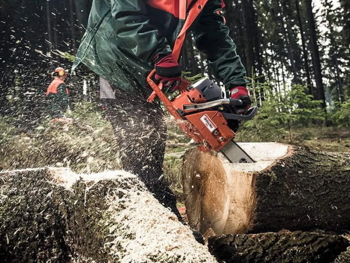 OLEO-MAC GS 630 PROFI PROFESJONALNA PIŁA PILARKA PRZECINARKA SPALINOWA ŁANCUCHOWA DO DREWNA 5,2 KM PREMIUM 50029127E5 GS630 AUTORYZOWANY DEALER OLEO-MAC